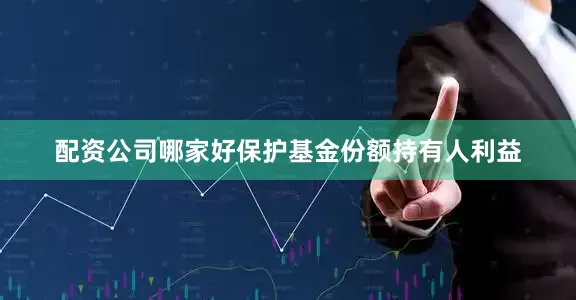 配资公司哪家好保护基金份额持有人利益